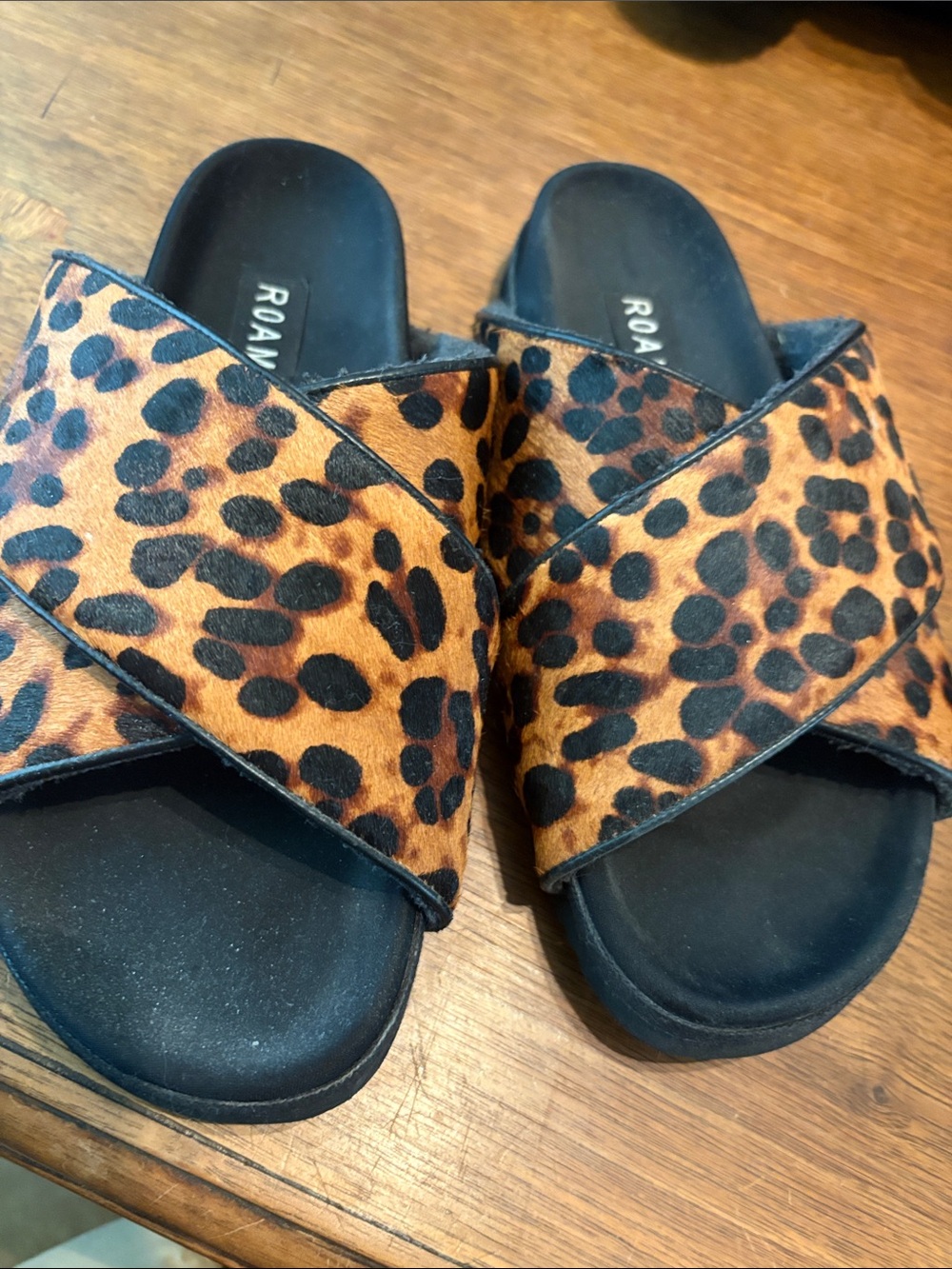 Roam slides leopard